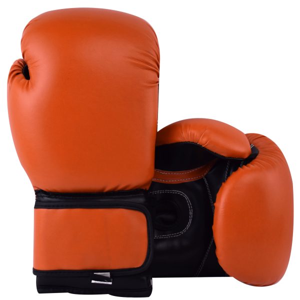 BS-1009 Boxing Gloves