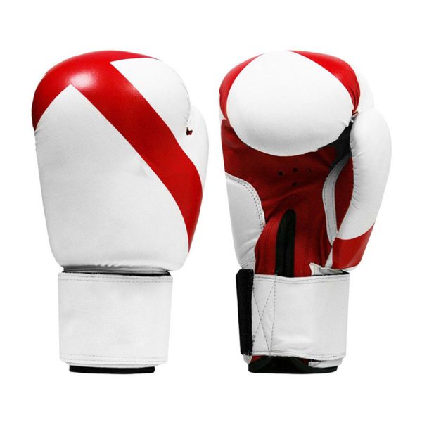 BS-1001 Boxing Gloves